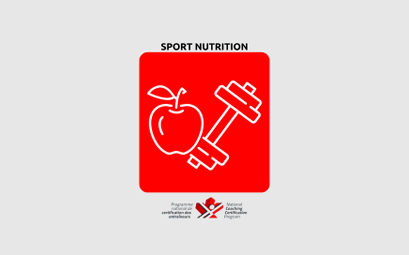 An infographic image that reads An infographic image that reads