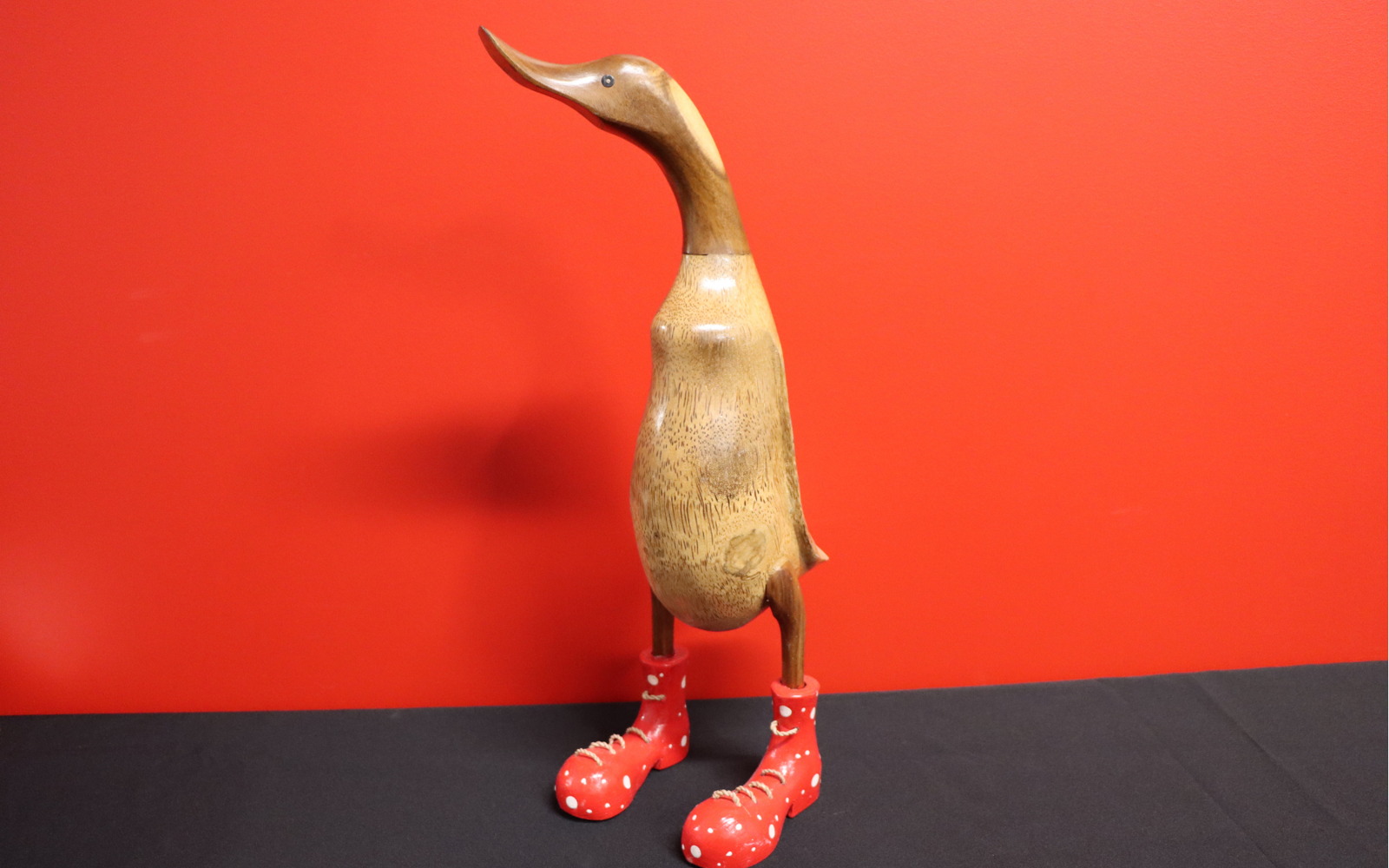 5.1 - DUCK.png