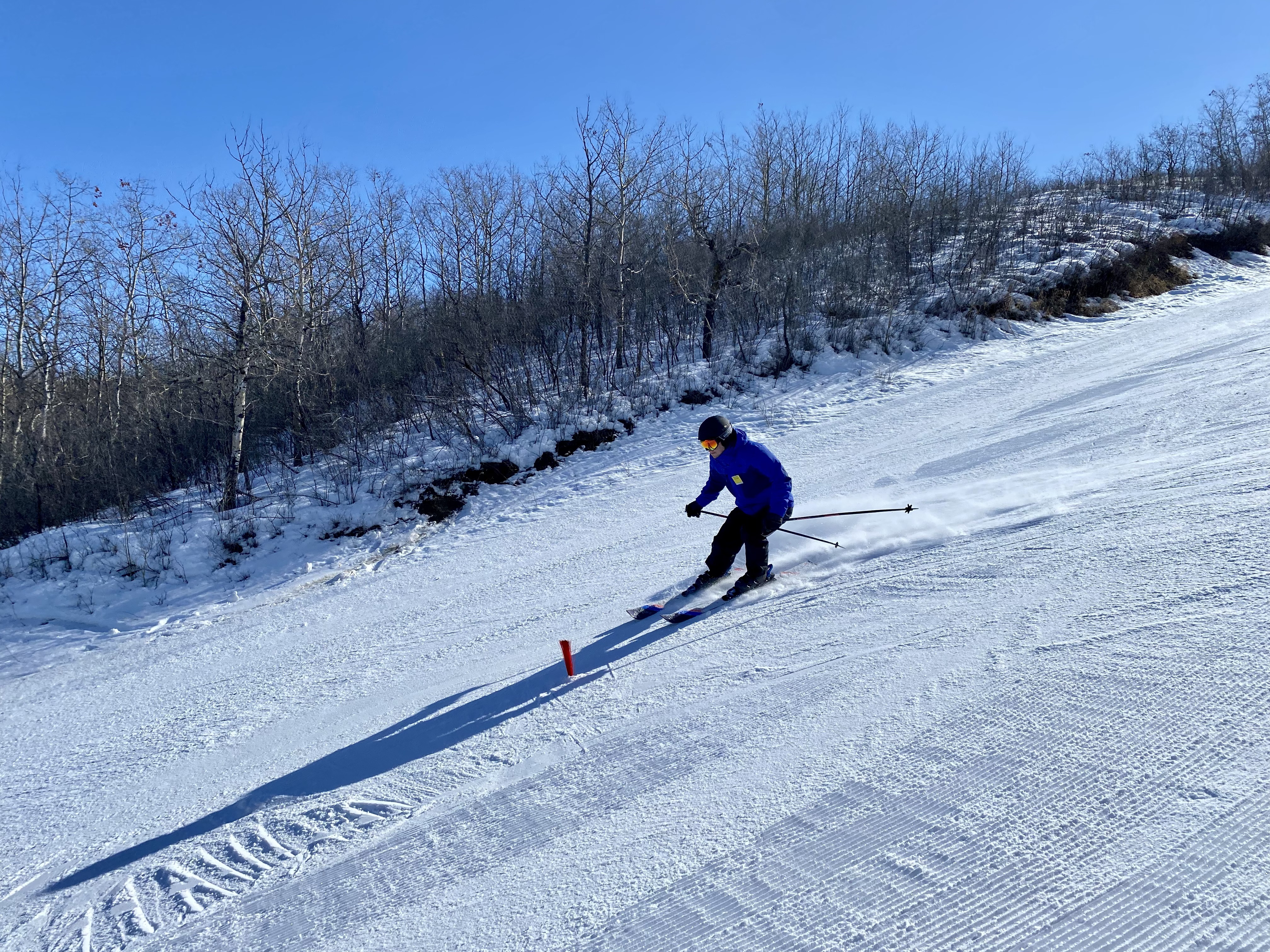 An action shot photo of an alpine skier going down the hill. The skier is a medium distance away from the camera and you can see the snow blowing behind their skis. In the distance behind the skier, you can see trees alongside the hill.