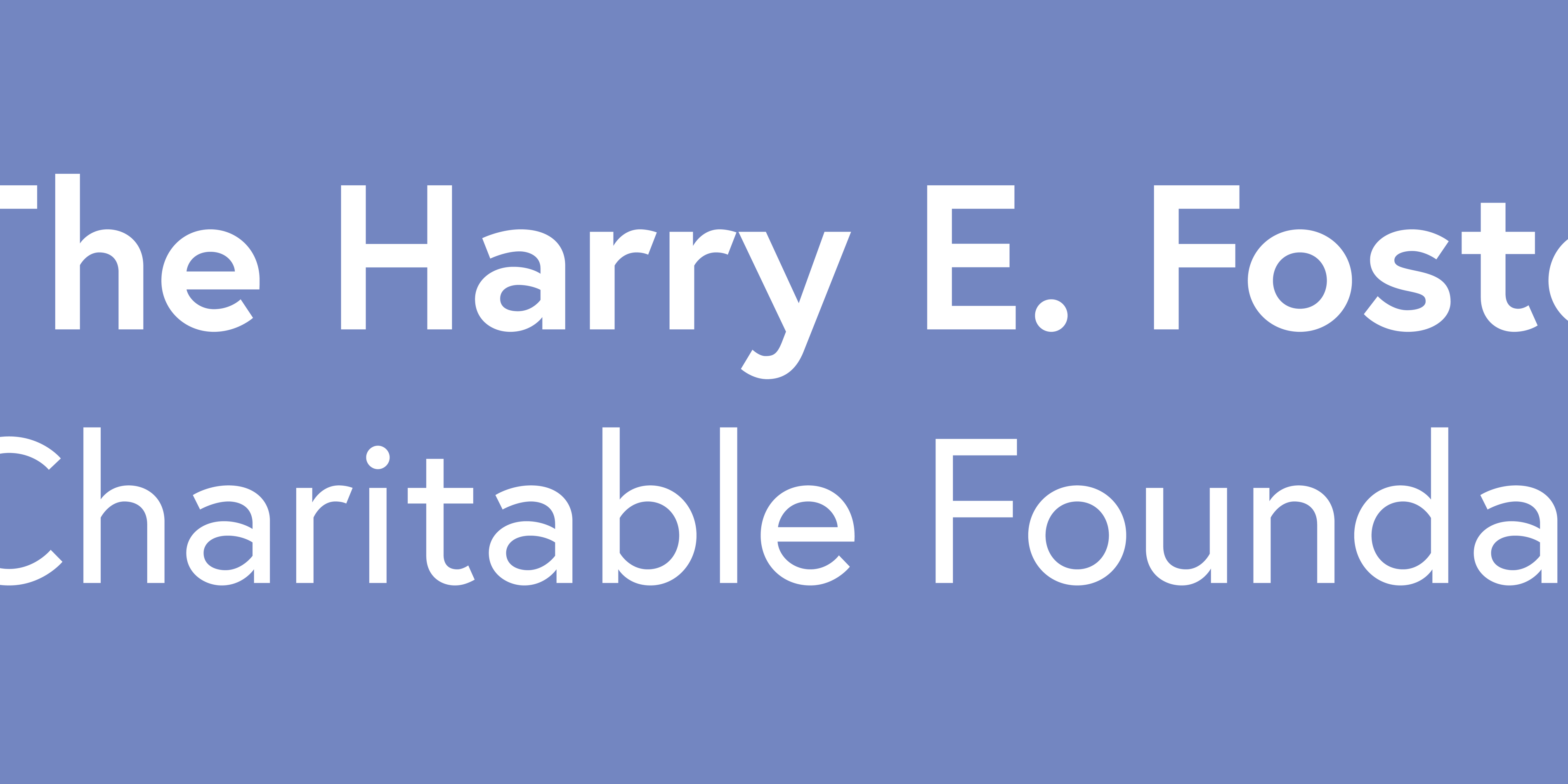 Harry E. Foster Logo (Colour Background).png
