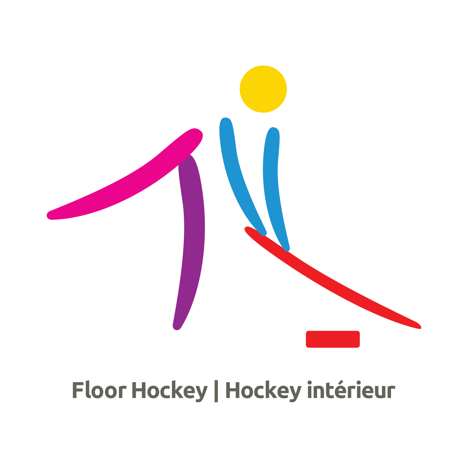 Hockey Intérieur