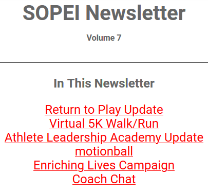 SOPEI newsletter Volume 7