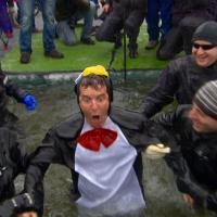 Rick Mercer at Polar Plunge Edmonton 2017