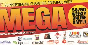 mega5050nl