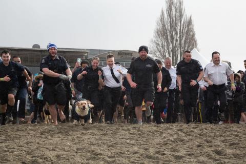 Delta Police Department and Metro Vancouver Transit Police members take the Plunge. Photo by Julie Bernard - Julie Heather Photography.