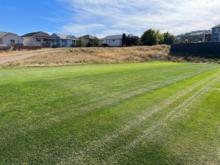 West Highlands soccer field with houses in the background